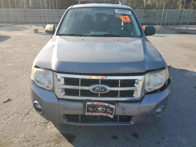 2008 Ford Escape XLT