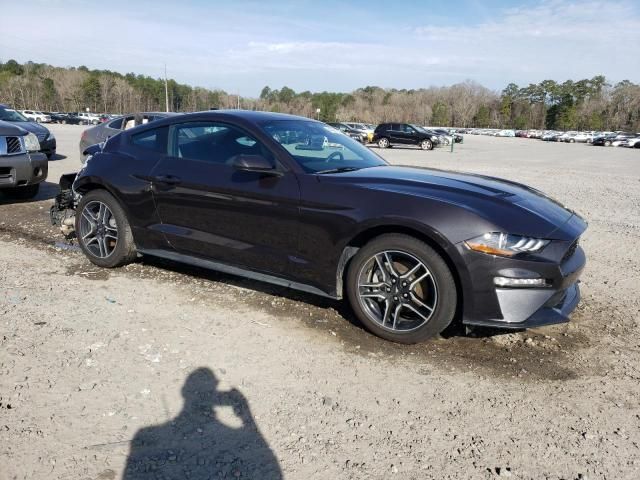 2023 Ford Mustang