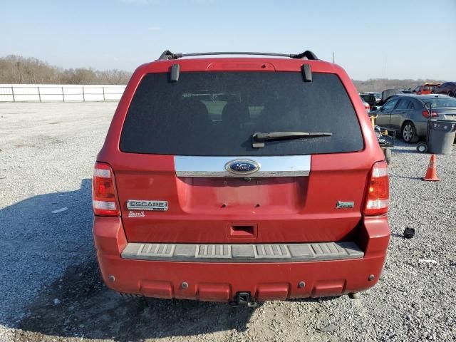 2010 Ford Escape Limited