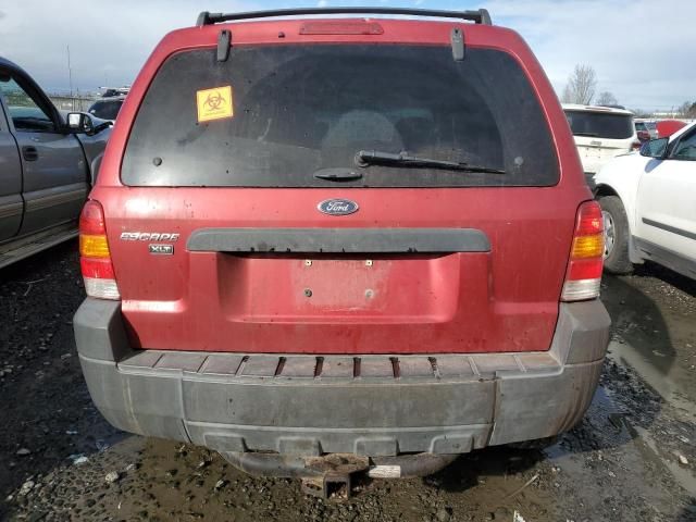 2005 Ford Escape XLT