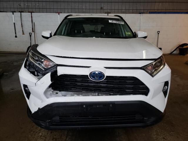 2019 Toyota Rav4 XLE