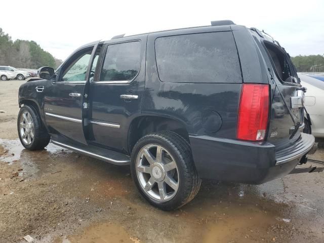 2010 Cadillac Escalade Luxury