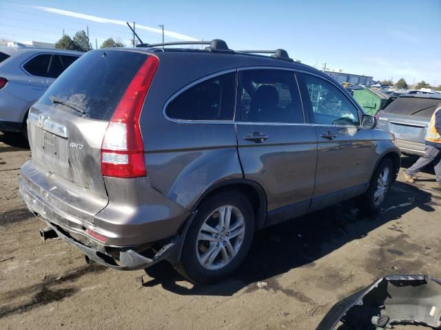 2010 Honda CR-V EXL