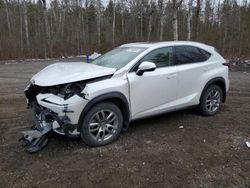 Salvage cars for sale from Copart Ontario Auction, ON: 2021 Lexus NX 300 Base