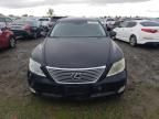 2009 Lexus LS 460