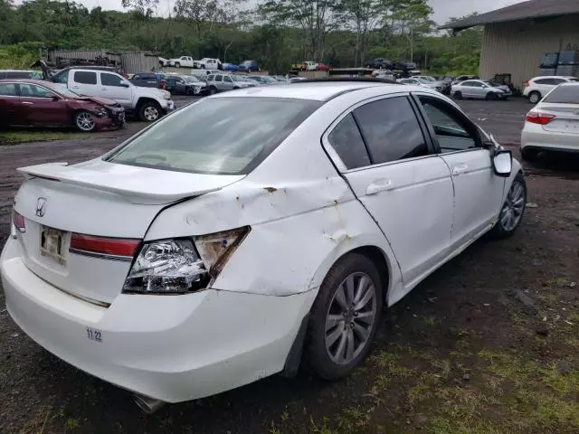 2011 Honda Accord EXL