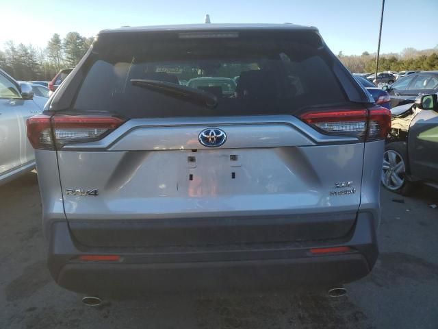 2019 Toyota Rav4 XLE