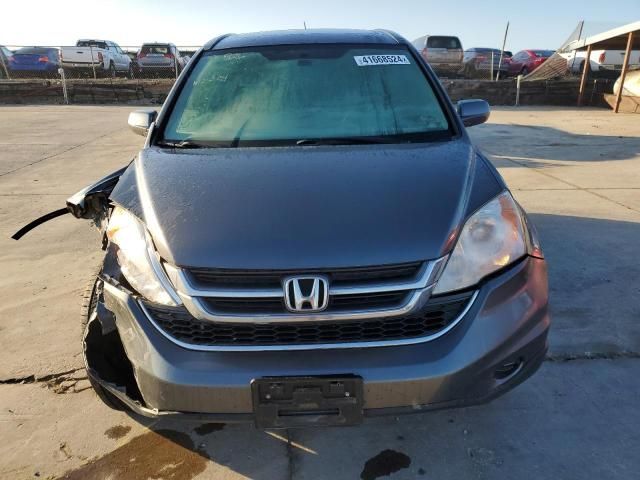 2010 Honda CR-V EXL