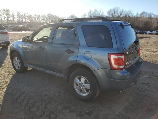 2010 Ford Escape XLT