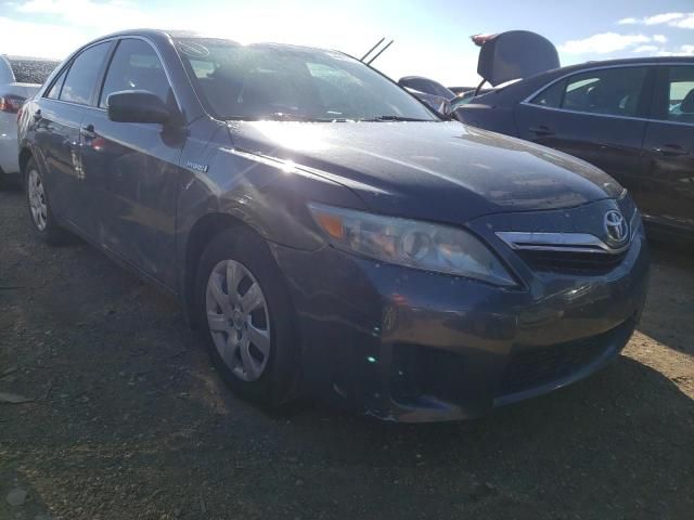 2010 Toyota Camry Hybrid