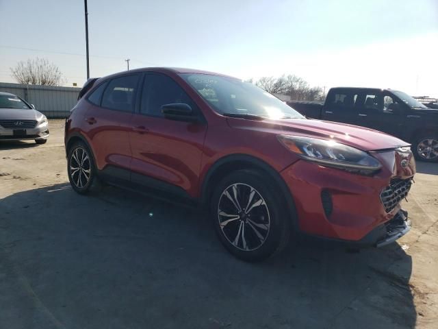 2022 Ford Escape SE