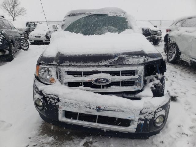 2010 Ford Escape Limited