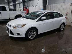 Salvage cars for sale at Ham Lake, MN auction: 2013 Ford Focus SE