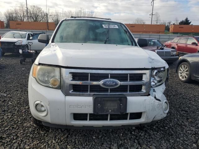 2008 Ford Escape XLT