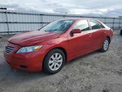 Salvage Cars with No Bids Yet For Sale at auction: 2009 Toyota Camry Hybrid