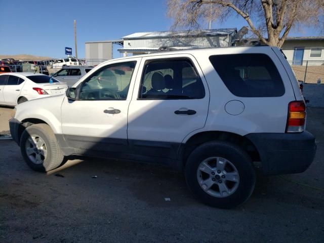 2007 Ford Escape XLT