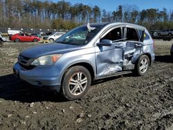Salvage cars for sale at Waldorf, MD auction: 2010 Honda CR-V EXL