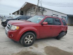 2011 Ford Escape Limited for sale in Corpus Christi, TX