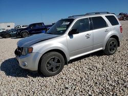 2010 Ford Escape XLT for sale in Temple, TX