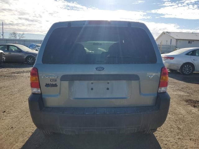 2006 Ford Escape XLT