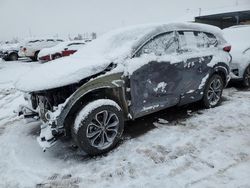 Salvage cars for sale at Brighton, CO auction: 2021 Honda CR-V EXL