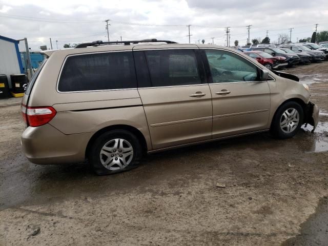 2005 Honda Odyssey EX