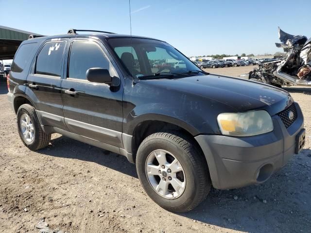 2005 Ford Escape XLT