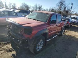 Salvage cars for sale from Copart Baltimore, MD: 2008 Toyota Tacoma Double Cab