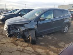 Ford Escape salvage cars for sale: 2019 Ford Escape SE