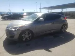 Salvage cars for sale at Anthony, TX auction: 2013 Hyundai Veloster