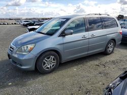 Salvage cars for sale from Copart Antelope, CA: 2006 Honda Odyssey EXL