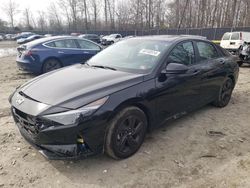 Salvage cars for sale at Waldorf, MD auction: 2023 Hyundai Elantra SEL