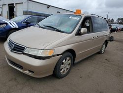 Salvage cars for sale at New Britain, CT auction: 2002 Honda Odyssey EX