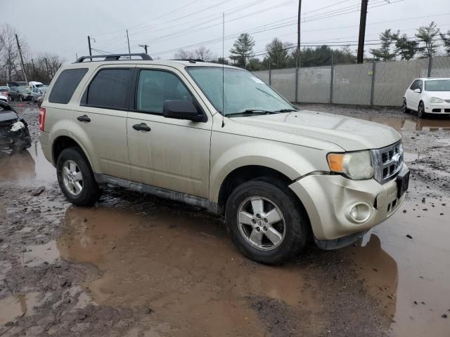 2010 Ford Escape XLT