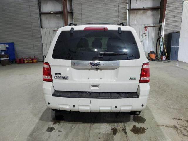 2010 Ford Escape Limited