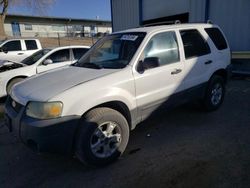 Salvage cars for sale from Copart Albuquerque, NM: 2007 Ford Escape XLT