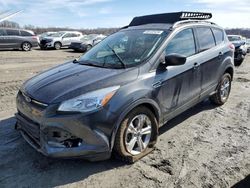 Salvage cars for sale at Cahokia Heights, IL auction: 2016 Ford Escape SE