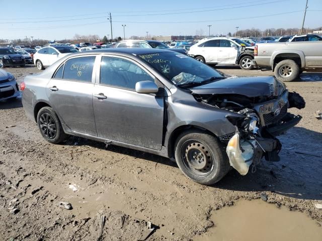 2010 Toyota Corolla Base