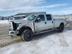 Salvage trucks for sale at Helena, MT auction: 2016 Ford F350 Super Duty