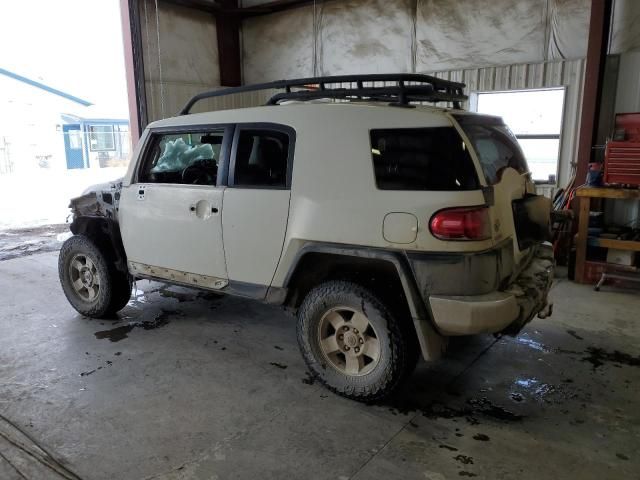 2010 Toyota FJ Cruiser