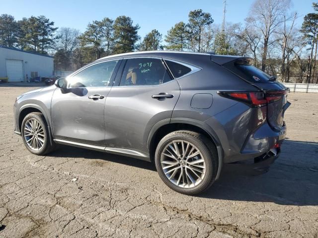 2022 Lexus NX 350