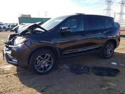 Salvage cars for sale at Elgin, IL auction: 2022 Honda Passport EXL