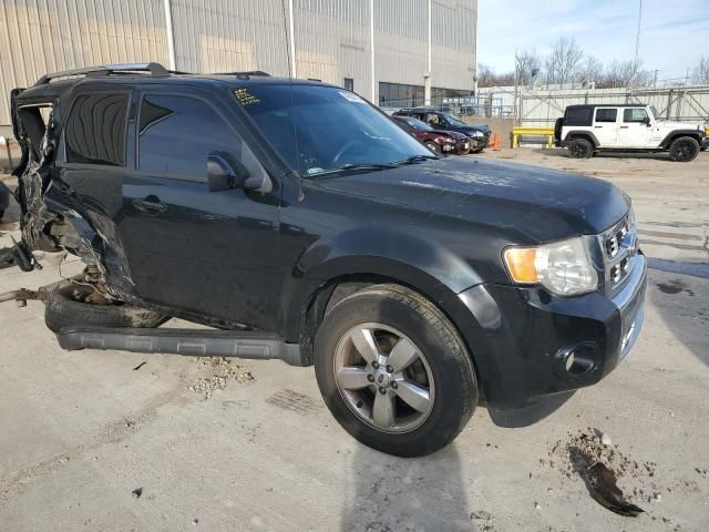 2010 Ford Escape Limited