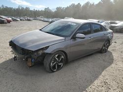 Hyundai Elantra salvage cars for sale: 2023 Hyundai Elantra SEL