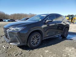 2023 Lexus NX 350 for sale in Windsor, NJ