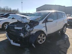 Salvage cars for sale from Copart Rogersville, MO: 2013 Ford Escape SE