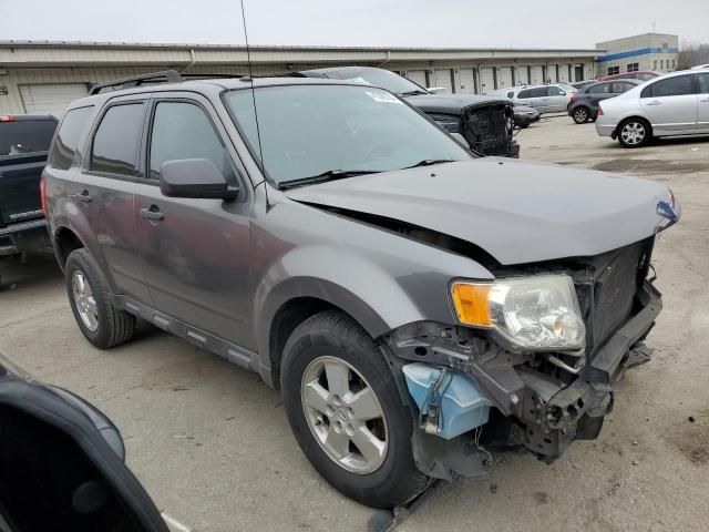 2012 Ford Escape XLT