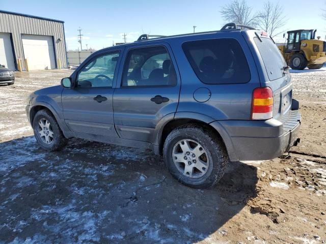 2005 Ford Escape XLT