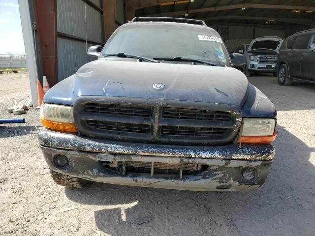 2003 Dodge Dakota Quad SLT