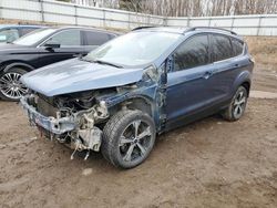 Salvage cars for sale at Davison, MI auction: 2018 Ford Escape SEL